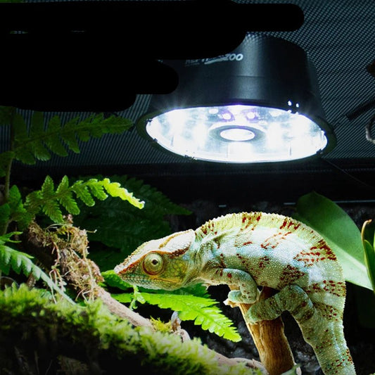 Wholesale Bulk UVB Pet Reptile Lampfor Amphibian Snake Lamp Heat Reptiles Bulb LED/UVB Dual Mode Reptiles Light Lizard Breeding Box Lighting - Furbury