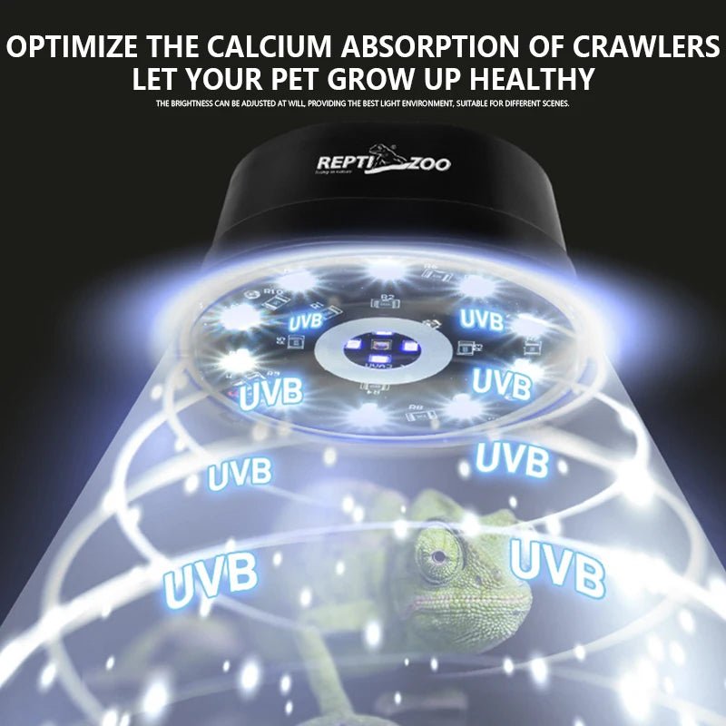 Wholesale Bulk UVB Pet Reptile Lampfor Amphibian Snake Lamp Heat Reptiles Bulb LED/UVB Dual Mode Reptiles Light Lizard Breeding Box Lighting - Furbury