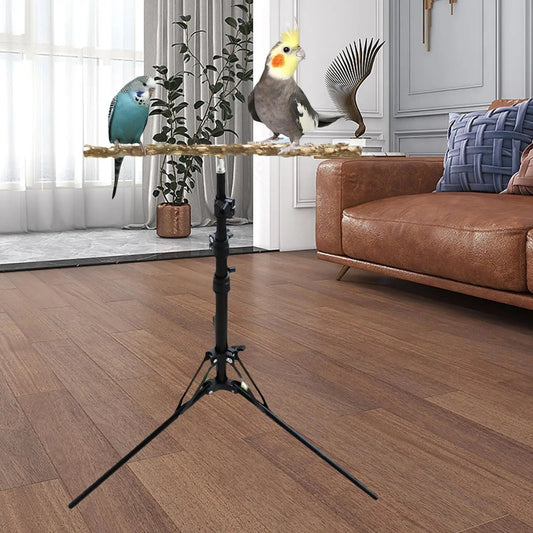 Wholesale Bulk Wooden Parrot Bird Perch Stand Height Adjustable Bird Parrot Swing Perch Stand Holder Budgie Playground Accessories - Furbury
