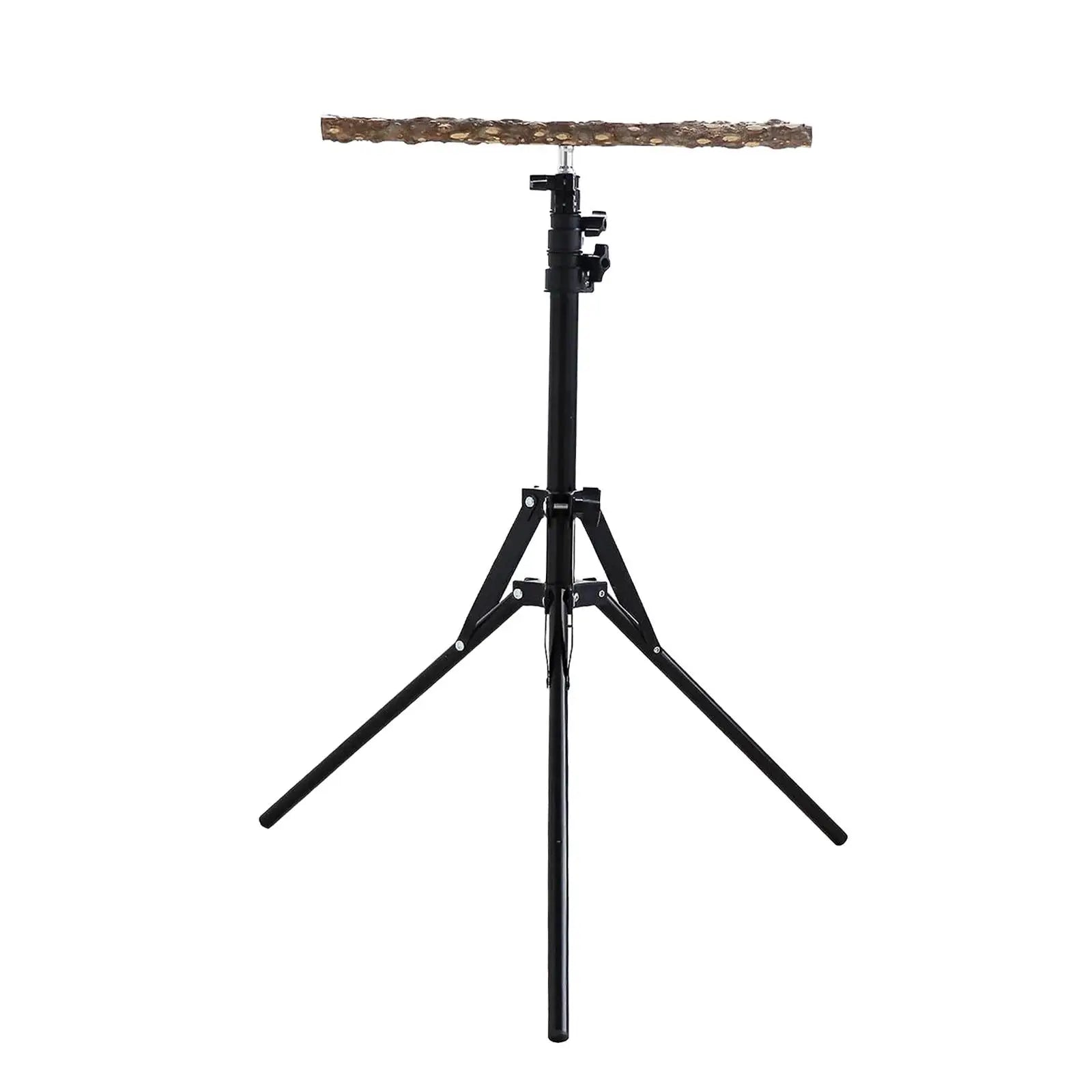 Wholesale Bulk Wooden Parrot Bird Perch Stand Height Adjustable Bird Parrot Swing Perch Stand Holder Budgie Playground Accessories - Furbury