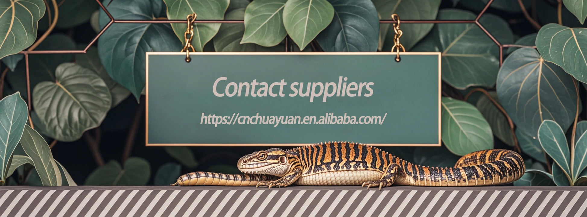Wholesale Reptile Rack System Small Python Boa Reptile Plastic Pp Breeding Box Tubs Enclosure System Lizard Rack Breeding Bed - Furbury
