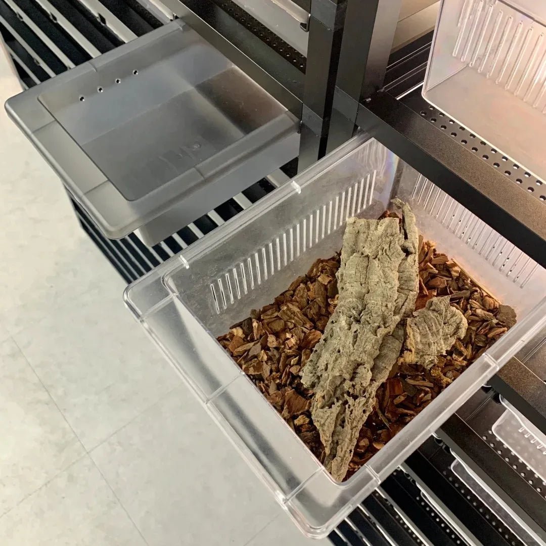 Wholesale Reptile Rack System Small Python Boa Reptile Plastic Pp Breeding Box Tubs Enclosure System Lizard Rack Breeding Bed - Furbury