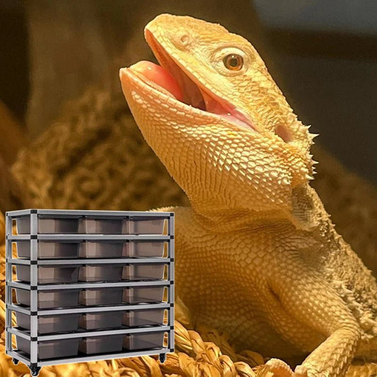 Wholesale Reptile Rack System Small Python Boa Reptile Plastic Pp Breeding Box Tubs Enclosure System Lizard Rack Breeding Bed - Furbury