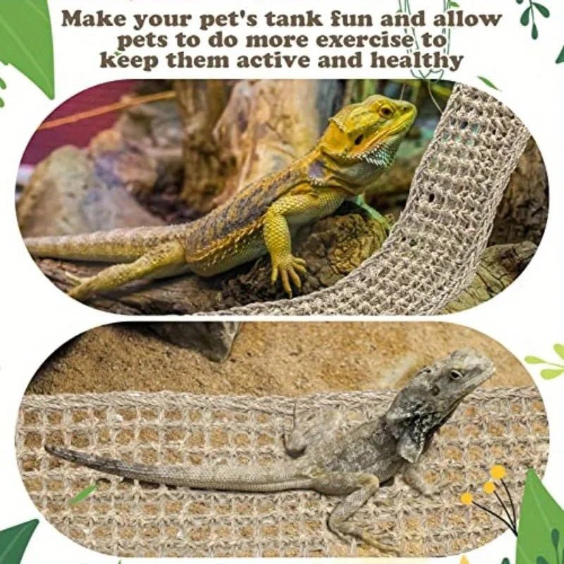 🌞 A Place to Lounge: Why Every Reptile Needs the 1PC Bearded Dragon Hammock Lounger - Checkouts USA