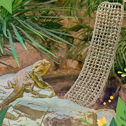 🐉 Bearded Dragon Hammock Reptile Lounger — The Chill Zone Your Pet Deserves - Checkouts USA