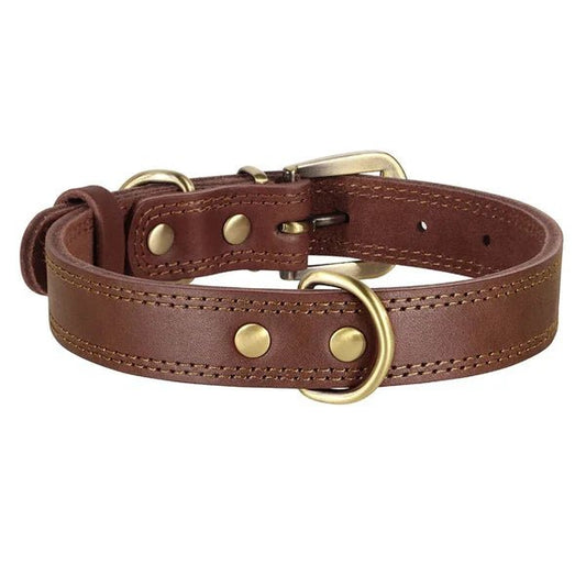 Built to Last, Made to Love – The Benefits of Choosing a Leather Collar for Your Dog - Checkouts USA