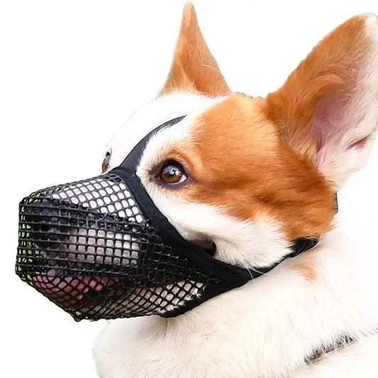 Control Without Cruelty: Why Pet Owners Are Choosing This Breathable Dog Muzzle for Everyday Use - Checkouts USA