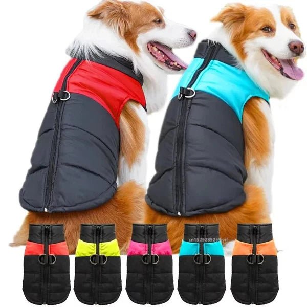 Function Meets Fashion – The Complete Guide to Choosing the Right Zipper Dog Jacket. - Checkouts USA
