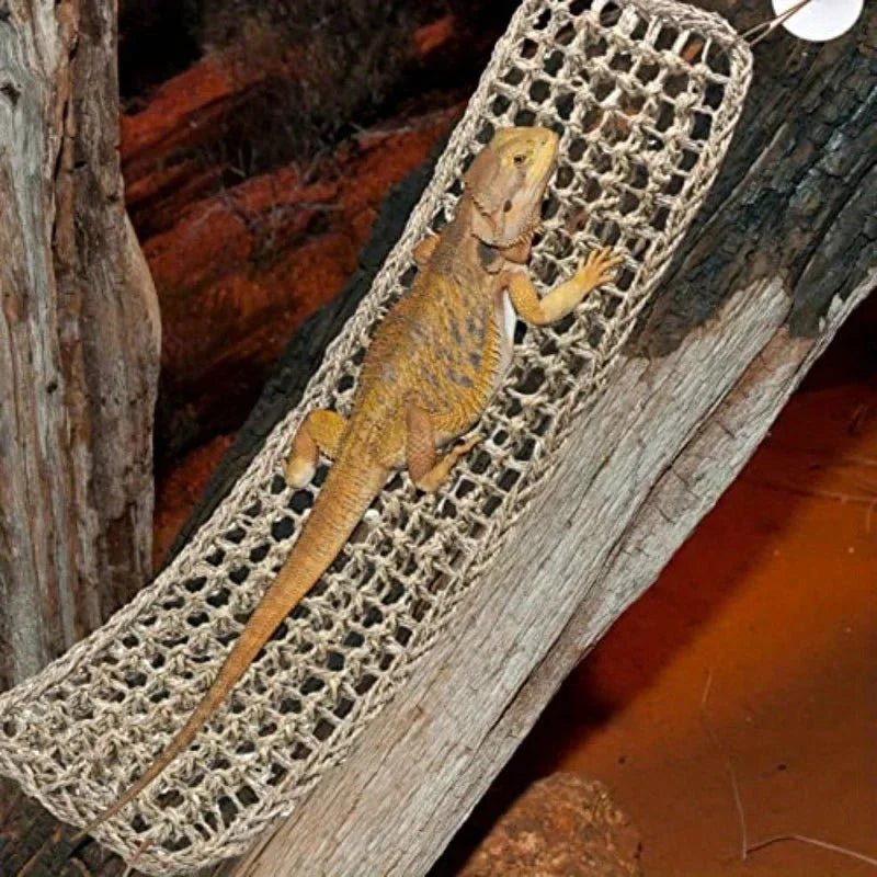 🌿 Give Your Reptile the Chill Life They Deserve with the Bearded Dragon Hammock Lounger - Checkouts USA