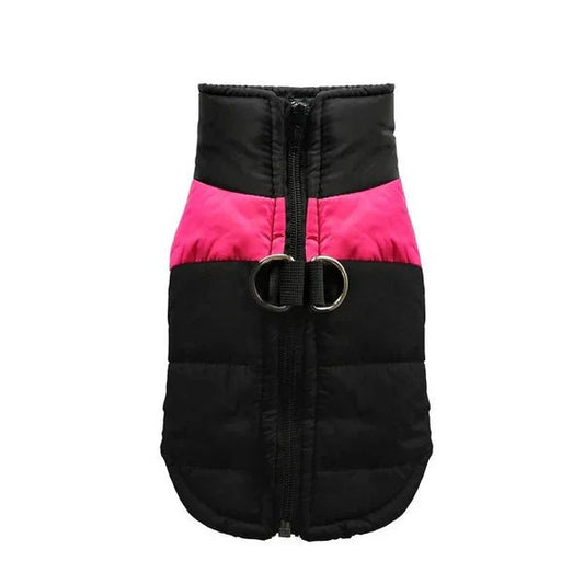 Keep Your Pup Warm and Stylish – Why a Zipper Dog Jacket Is a Must-Have This Season. - Checkouts USA