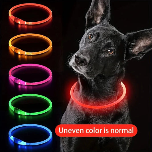 ❓ LED Dog Collar FAQ – Everything You Need to Know Before You Buy - Checkouts USA