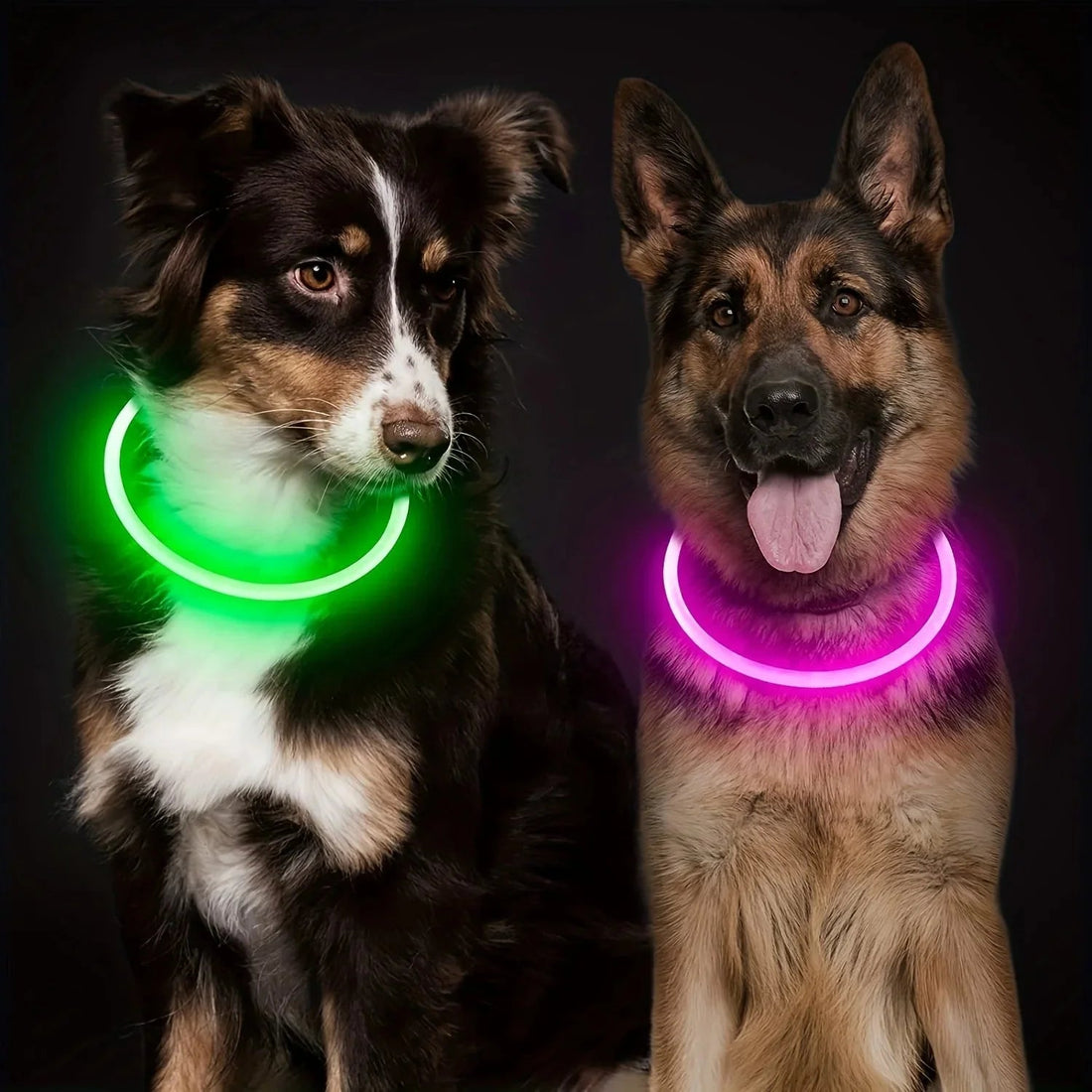 🔍 LED Dog Collar vs. Regular Collar – Which Keeps Your Pet Safer at Night? - Checkouts USA