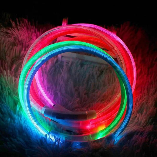Light Up the Night – Why an LED Dog Collar is the Smartest Accessory for Pet Safety - Checkouts USA