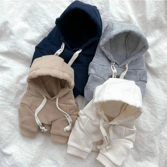 My Dog Has More Hoodies Than Me – And Honestly, I’m Not Even Mad - Checkouts USA