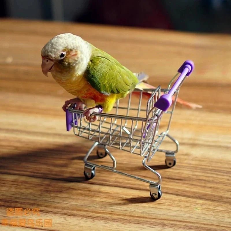 🦜 Parrot Mini Shopping Cart Toy — The Fun, Safe & Smart Way to Keep Your Bird Happy - Checkouts USA