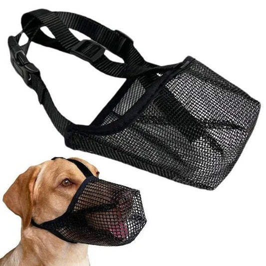Rethinking the Muzzle – Why the Right Dog Muzzle Is a Tool for Safety, Not Shame - Checkouts USA