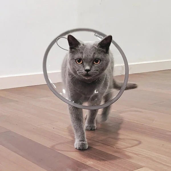 Say Goodbye to the Cone of Shame – The New Age of Comfortable Cat Recovery Collars. - Checkouts USA