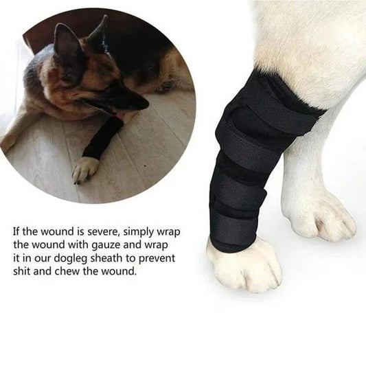 Supporting Four-Legged Friends – Why a Knee Brace Might Be the Best Gift You Can Give Your Dog - Checkouts USA