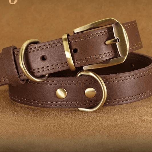 The Complete Guide to Leather Dog Collars – Strength, Style, and Comfort for Your Pup - Checkouts USA