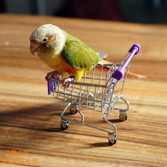 🦜 The Parrot Mini Shopping Cart Toy — A Clever Way to Keep Your Feathered Friend Happy & Engaged - Checkouts USA
