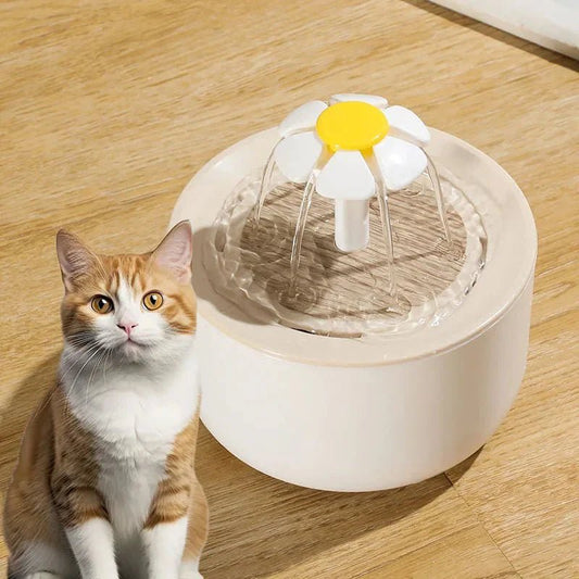 💦 The Secret to a Healthier Cat? It Starts With the Water Bowl - Checkouts USA