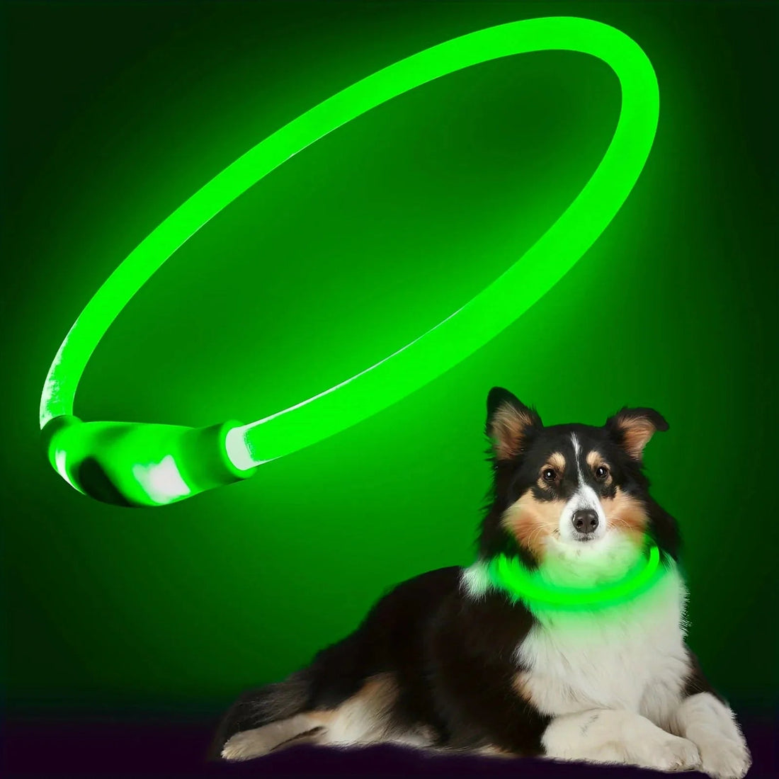 Top 10 Reasons Every Dog Owner Needs the LED Luminous Anti-Lost Collar - Checkouts USA