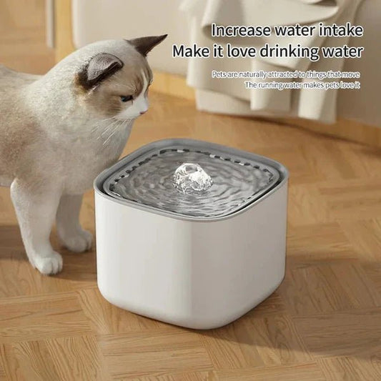 🐱 Why Every Cat Parent Needs a 3L Cat Water Fountain: A Must-Have for Happy, Healthy Cats - Checkouts USA