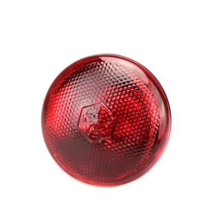 220V Poultry Heating Bulb 100/150/200/250/275W Infrared Lamp Insulation Heating for Reptiles Plants Amphibians Pets Livestock - Furbury