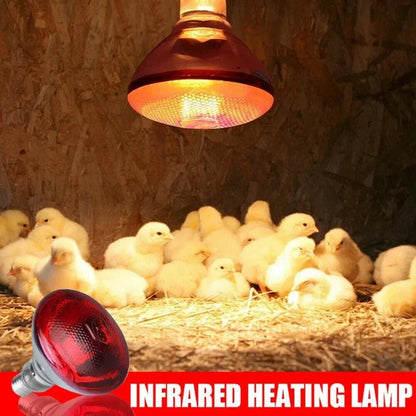 220V Poultry Heating Bulb 100/150/200/250/275W Infrared Lamp Insulation Heating for Reptiles Plants Amphibians Pets Livestock - Furbury