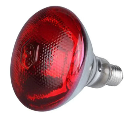 220V Poultry Heating Bulb 100/150/200/250/275W Infrared Lamp Insulation Heating for Reptiles Plants Amphibians Pets Livestock - Furbury