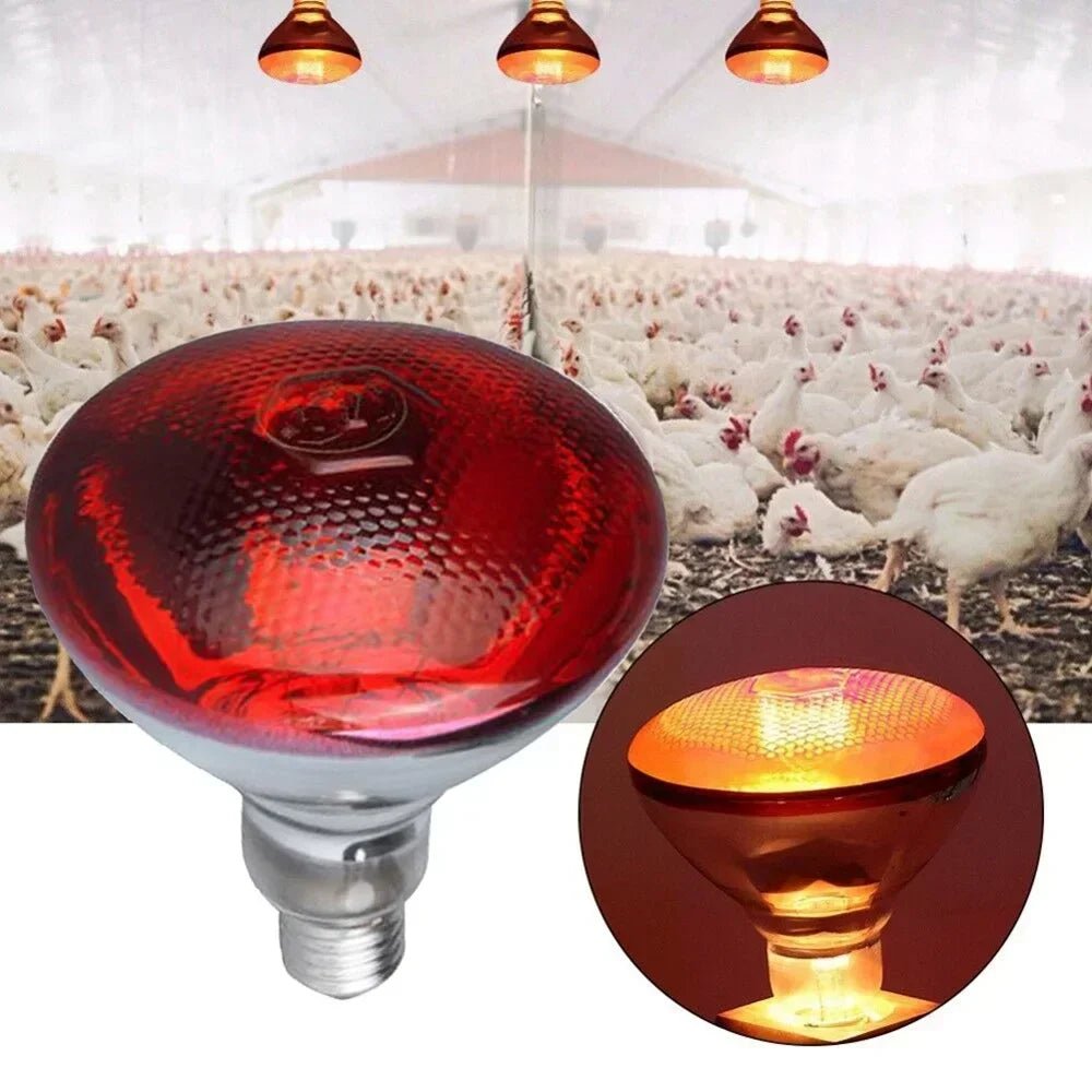 220V Poultry Heating Bulb 100/150/200/250/275W Infrared Lamp Insulation Heating for Reptiles Plants Amphibians Pets Livestock - Furbury