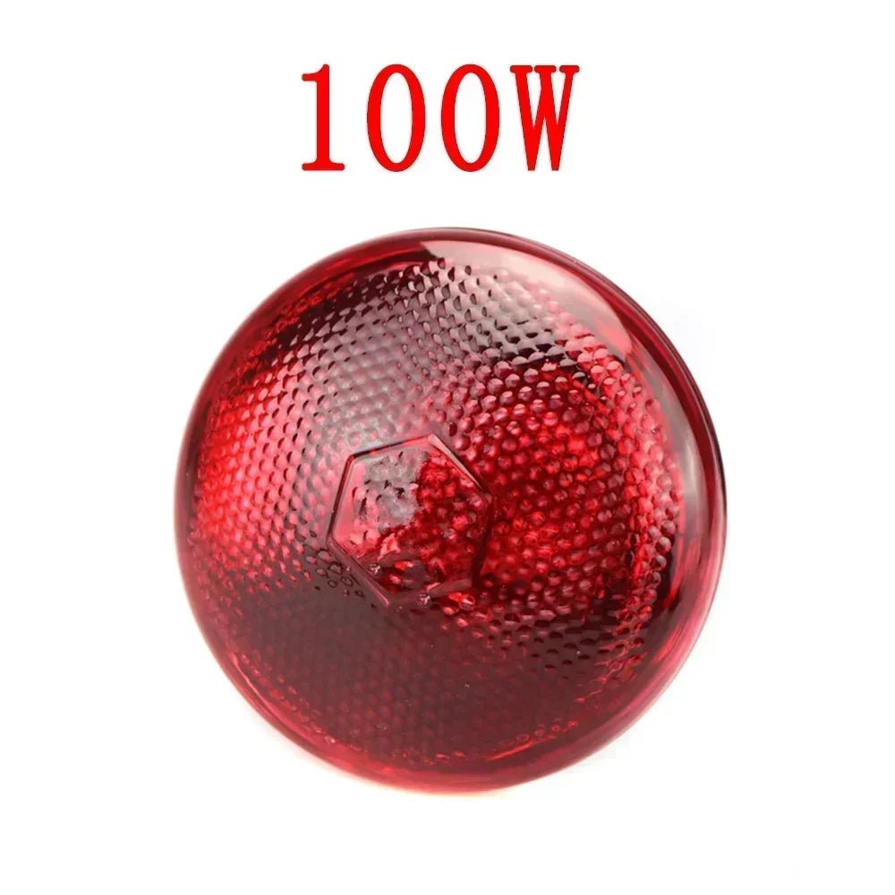 220V Poultry Heating Bulb 100/150/200/250/275W Infrared Lamp Insulation Heating for Reptiles Plants Amphibians Pets Livestock - Furbury