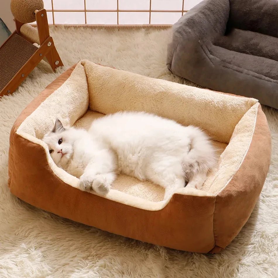 Bed for Cats Pet Products Cushions Kitten Goods Accessories Dog All Houses Supplies Things Accessory Habitats Basket House Beds - Furbury