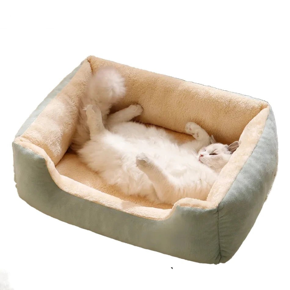 Bed for Cats Pet Products Cushions Kitten Goods Accessories Dog All Houses Supplies Things Accessory Habitats Basket House Beds - Furbury