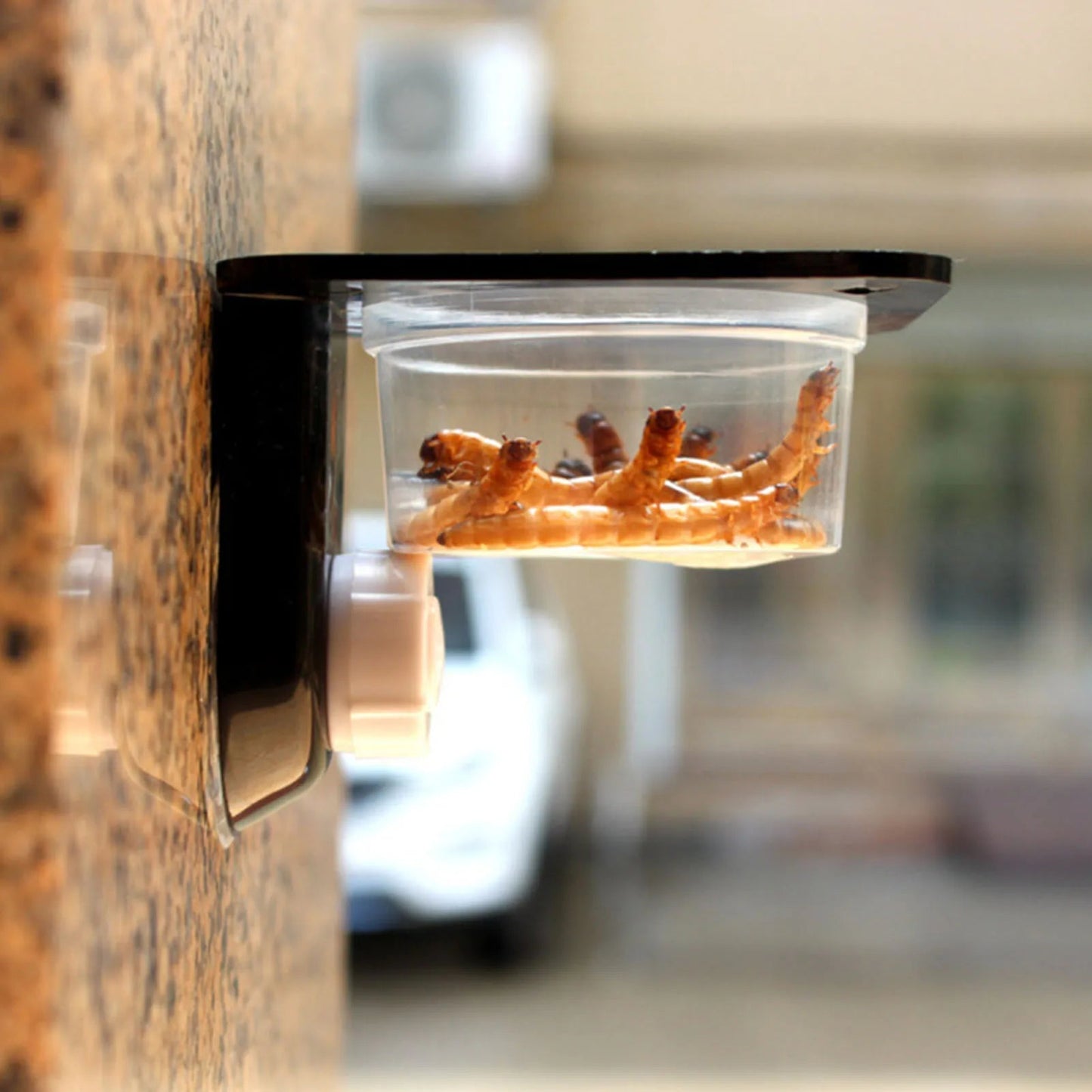 Black Plastic Gecko Feeder Ledge Space Saving Reptile Feeding Ledge for Lizard Gecko Pet Accessories Supplies - Furbury