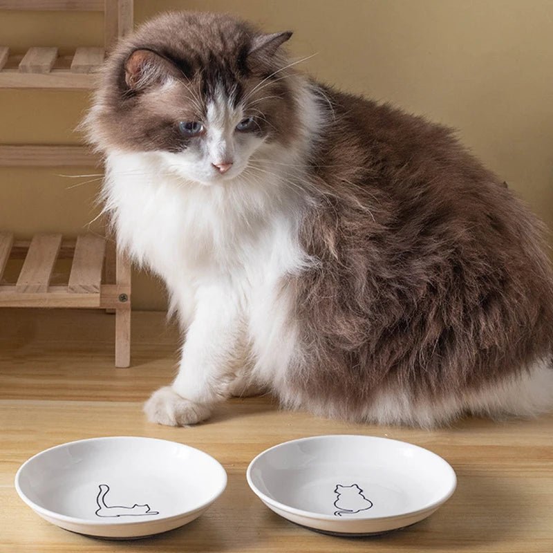 Cat Plates With Silicone Anti Slip Pad Pet Cat Snack Bowl Cute Kitten Food Bowl Pet Kitten Water Bowl Pet Supplies - Checkouts UK