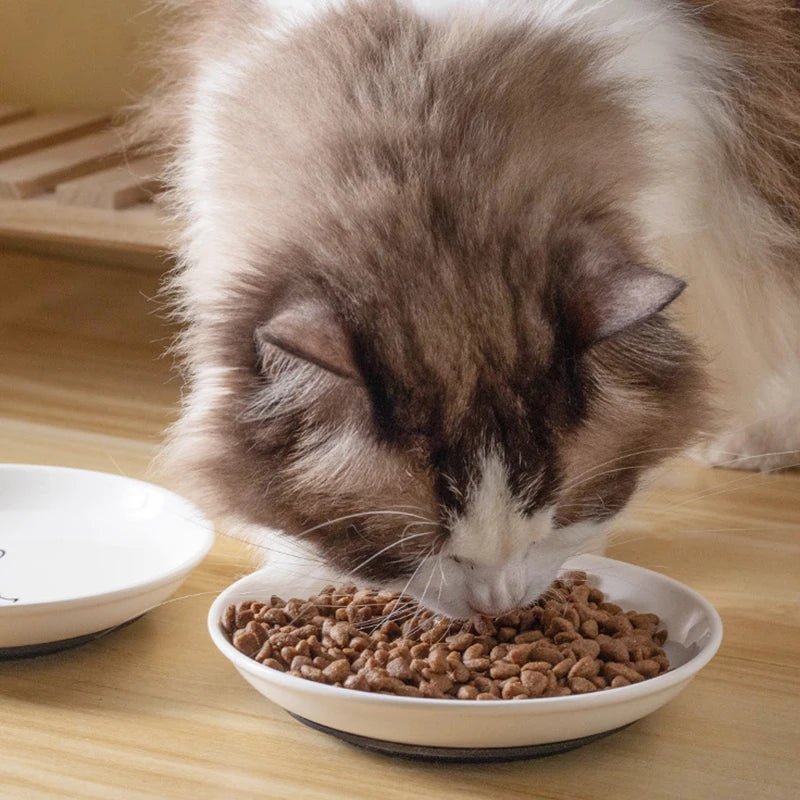 Cat Plates With Silicone Anti Slip Pad Pet Cat Snack Bowl Cute Kitten Food Bowl Pet Kitten Water Bowl Pet Supplies - Checkouts UK