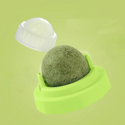 Cats Toys Natural Catnip Cat Rotatable Licking Catnip Wall Ball Toy Freshen Breath Remove Hair Balls Cat Accessories Pet Supply - Furbury