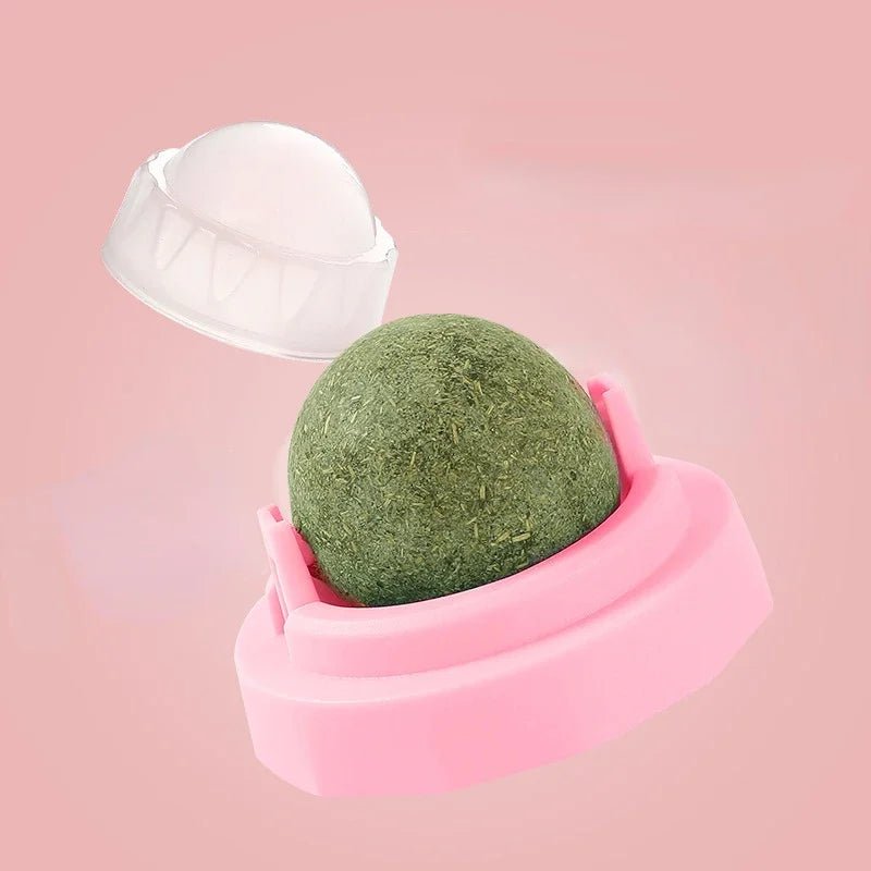 Cats Toys Natural Catnip Cat Rotatable Licking Catnip Wall Ball Toy Freshen Breath Remove Hair Balls Cat Accessories Pet Supply - Furbury