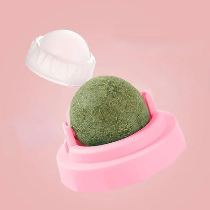 Cats Toys Natural Catnip Cat Rotatable Licking Catnip Wall Ball Toy Freshen Breath Remove Hair Balls Cat Accessories Pet Supply - Furbury