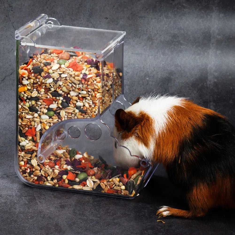 Cute Hamster Samll Animal Automatic Pet Food Feeder Transparent Safe Food Bowl - Furbury
