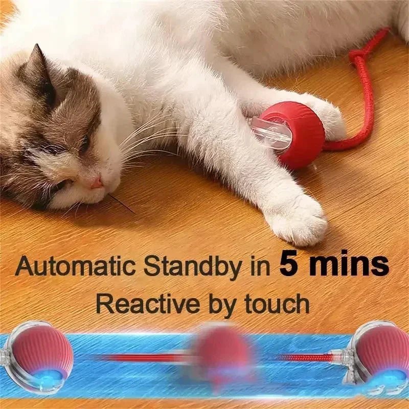 Interactive Dog Toys Rechargeable Pet Interactive Toys Electric Cats Ball Automatic Rolling Fake Tail Ball Dog Cats Toy - Furbury