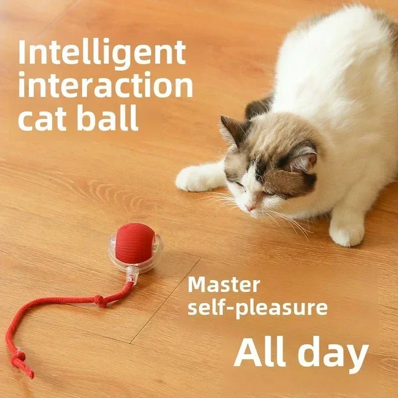 Interactive Dog Toys Rechargeable Pet Interactive Toys Electric Cats Ball Automatic Rolling Fake Tail Ball Dog Cats Toy - Furbury