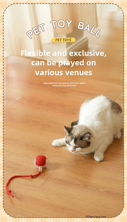 Interactive Dog Toys Rechargeable Pet Interactive Toys Electric Cats Ball Automatic Rolling Fake Tail Ball Dog Cats Toy - Furbury