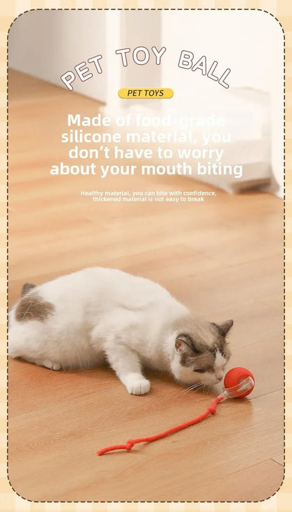 Interactive Dog Toys Rechargeable Pet Interactive Toys Electric Cats Ball Automatic Rolling Fake Tail Ball Dog Cats Toy - Furbury