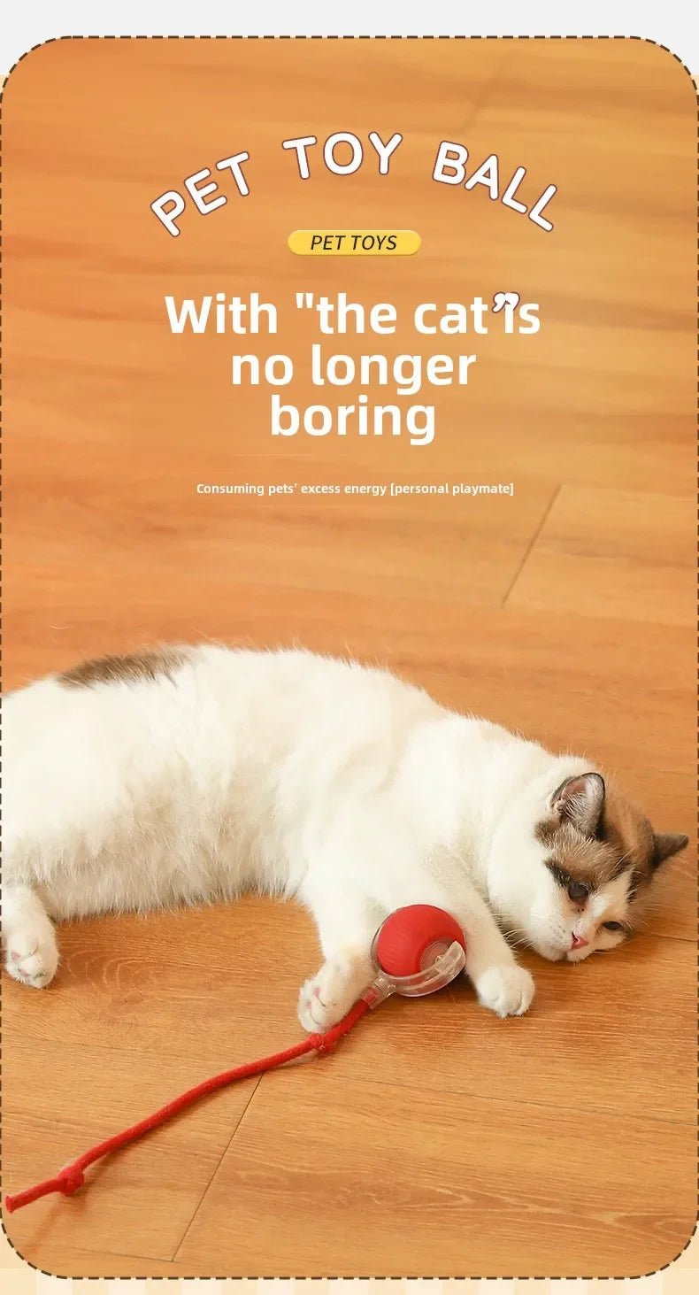 Interactive Dog Toys Rechargeable Pet Interactive Toys Electric Cats Ball Automatic Rolling Fake Tail Ball Dog Cats Toy - Furbury