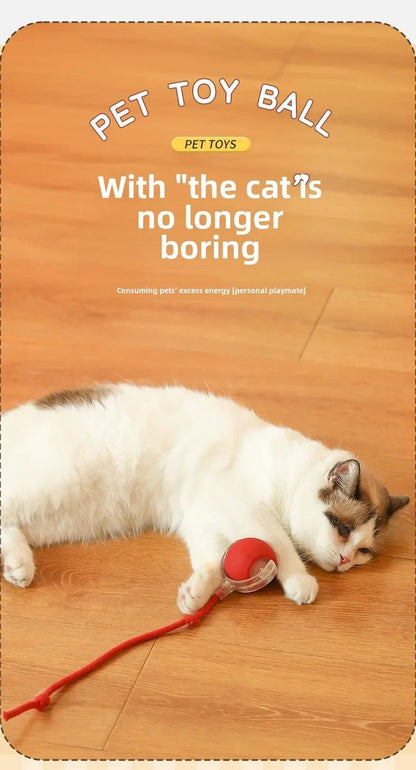 Interactive Dog Toys Rechargeable Pet Interactive Toys Electric Cats Ball Automatic Rolling Fake Tail Ball Dog Cats Toy - Furbury