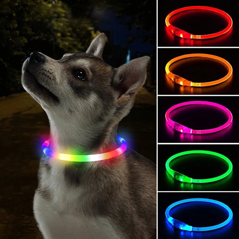Led Dog Collar Luminous Usb Cat Dog Collar 3 Modes Led Light Glowing Loss Prevention LED Collar For Dogs Pet Dog Accessories - Checkouts UK