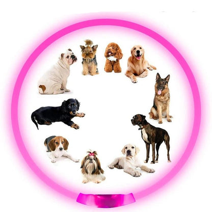 Led Dog Collar Luminous Usb Cat Dog Collar 3 Modes Led Light Glowing Loss Prevention LED Collar For Dogs Pet Dog Accessories - Checkouts UK
