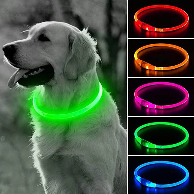 Led Dog Collar Luminous Usb Cat Dog Collar 3 Modes Led Light Glowing Loss Prevention LED Collar For Dogs Pet Dog Accessories - Checkouts UK